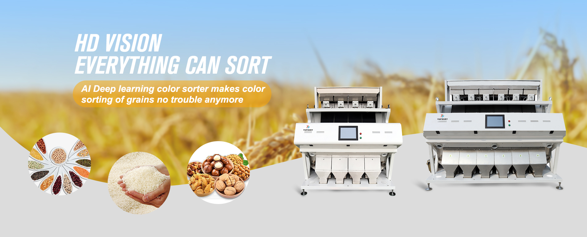 Color Sorter Machine Manufacturer