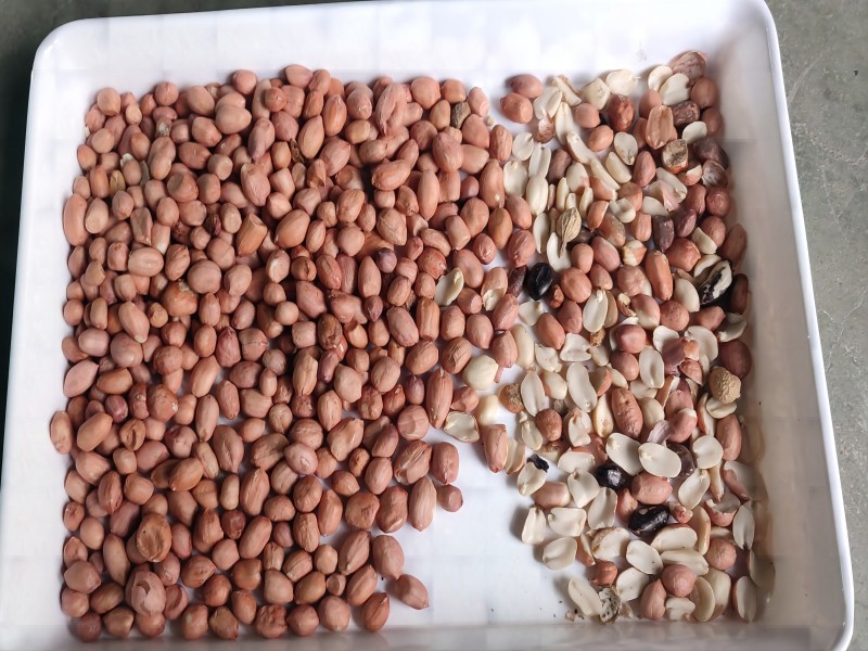 Multi-function nuts color sorter sorting for peanut
