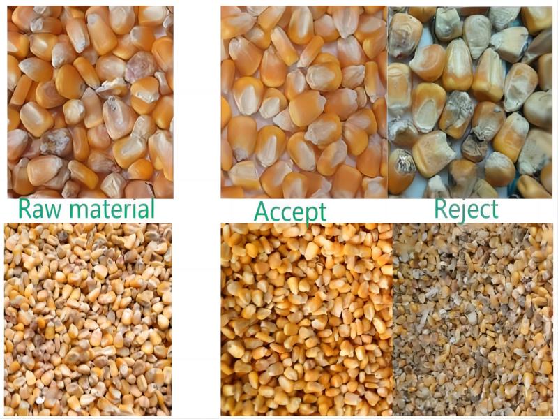 Multi-function grain color sorter sorting for corn