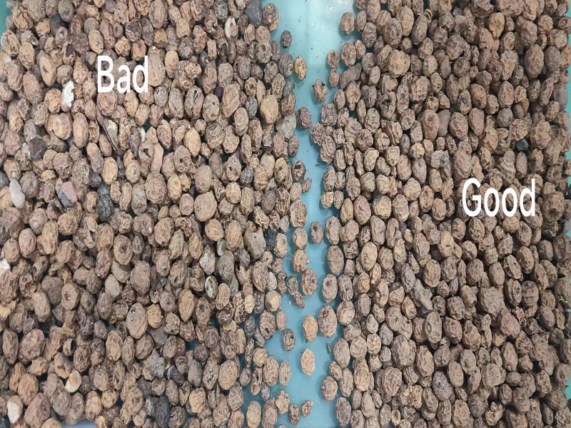 Multi-purpose beans colour sorter tiger nut sort machine
