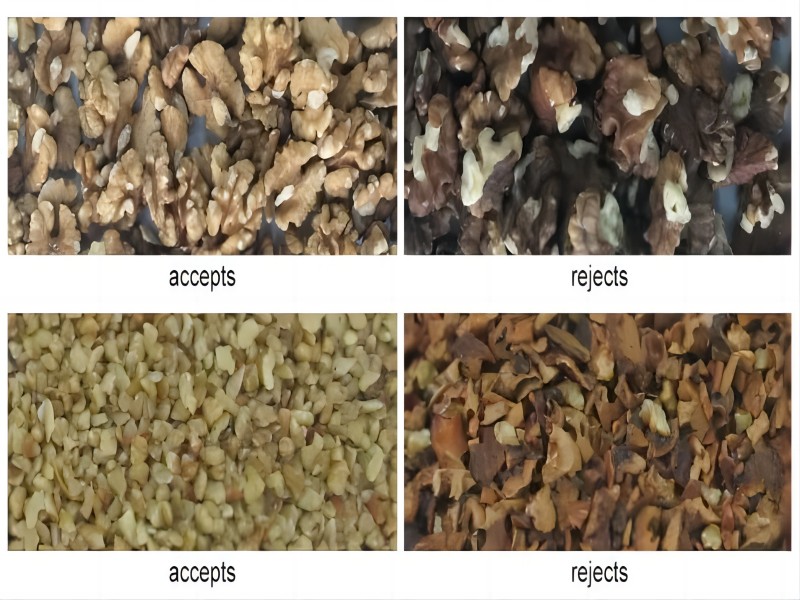 Walnut kernel and shell sorting
