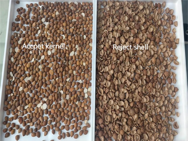 Infrared color sorter sorting almond shell kernel color separating