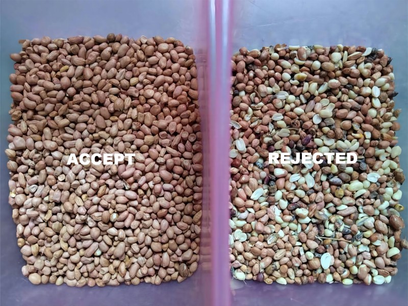 High sorting accuracy color sorter used for sorting peanut