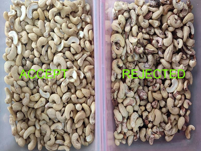 High sorting accuracy for sorting cashew nut skin