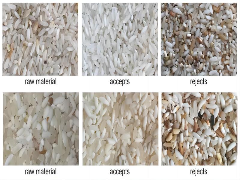 TOPSORT rice color sorter work in customer site
