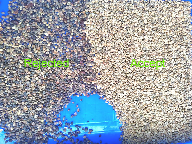 High precision topsort green coffee bean color sorter