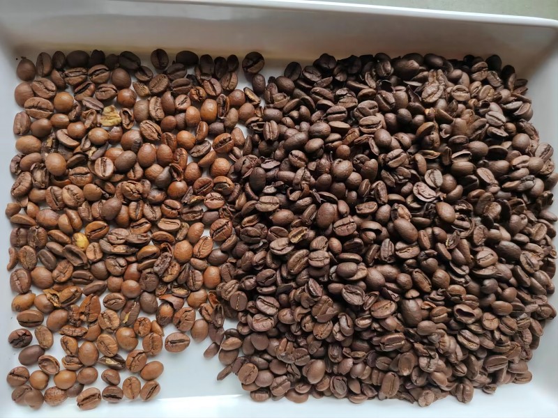 Topsort roasted coffee bean color sorter sorting video from customer site