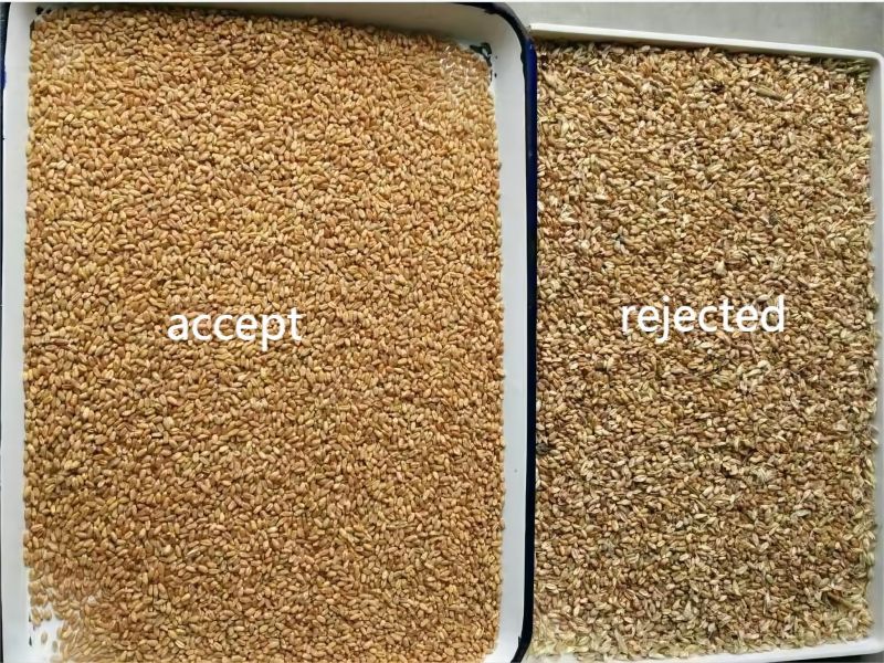 Topsort high sorting performance wheat color sorter