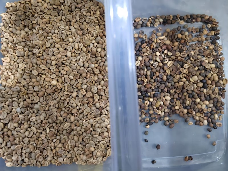 High sorting precision coffee bean colour sorter/coffee bean colour sorting machine/sortex machine