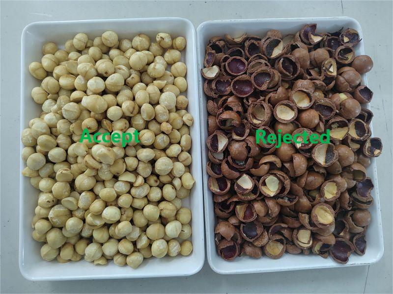 TOPSORT high precision macadamia nut kernel and shell color sorter
