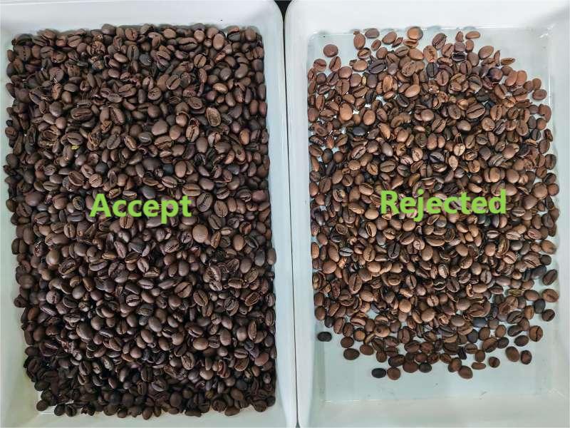 TOPSORT Mini Roasted Coffee Bean Color Sorter At Customer Site