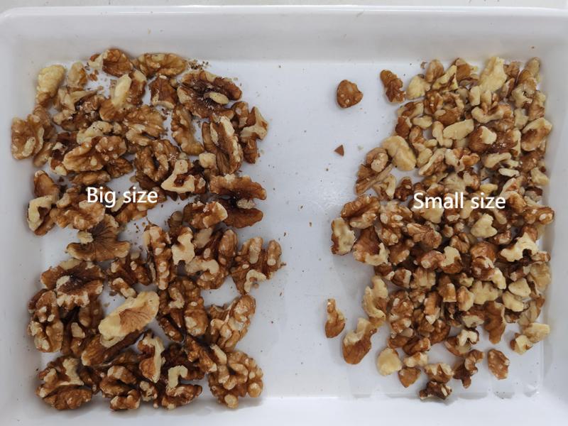 Topsort 1 chute walnut kernel size sorting machine