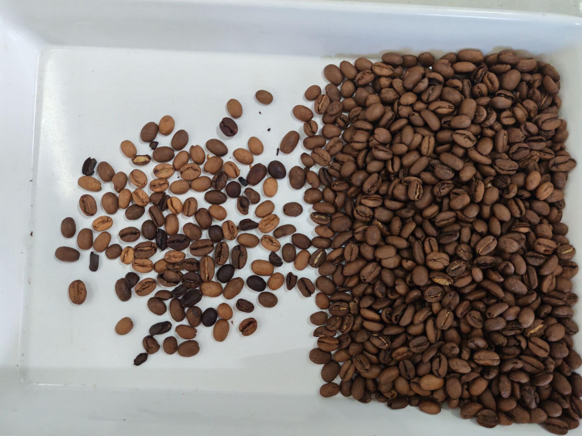 High accuracy mini roasted coffee bean color sorting machine