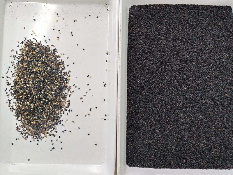 Topsort High Accuracy Basil Seeds Color Sorter