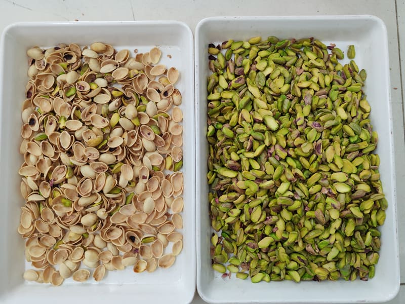 Topsort High Sorting Accuracy Pistachio Kernel And Shell Sorting Machine