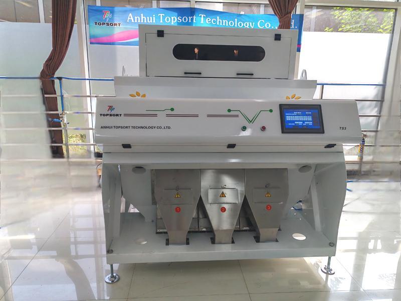 color sorter machine